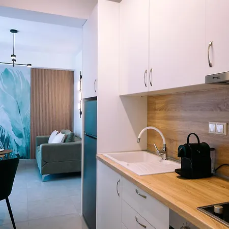 Apartment Sk Homely *