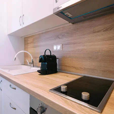 Sk Homely Apartment